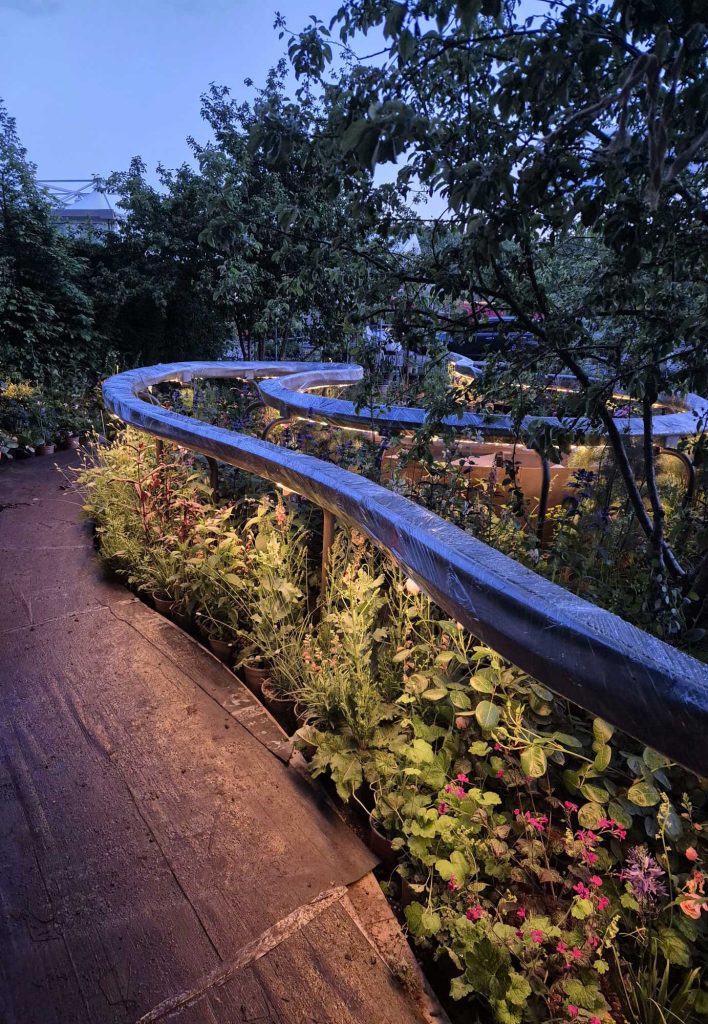 Walkway in garden with an illuminated handrail with down lights onto the plants below.